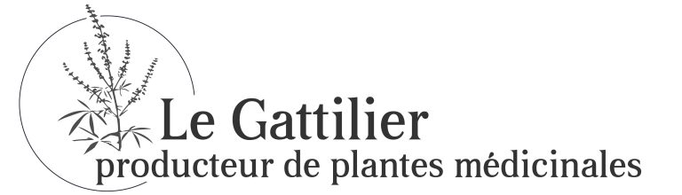Le Gattilier